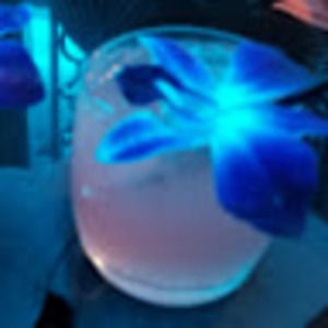 Meet your Posher, Annie